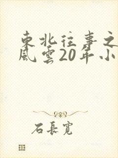 东北往事之黑道风云20年小说