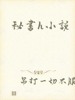 秘书h小说