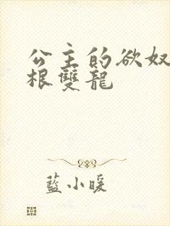 公主的欲奴h四根双龙