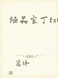 极品家丁txt