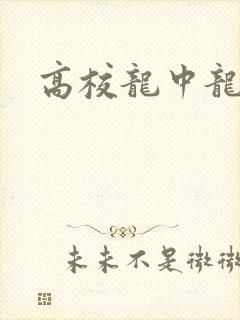 高校龙中龙