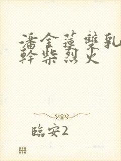 潘金莲双乳晃动干柴烈火