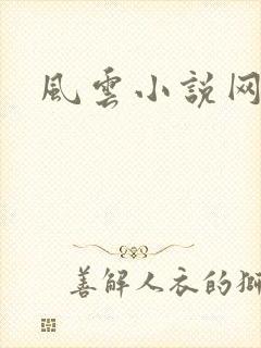 风云小说网