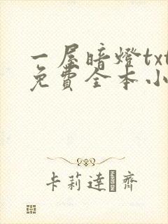 一屋暗灯txt免费全本小说电子书