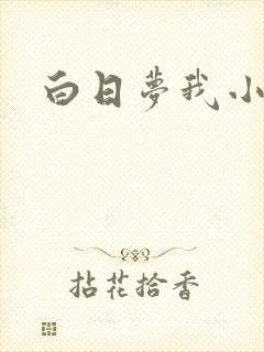 白日梦我小说