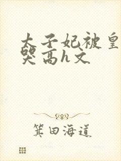 太子妃被皇上c哭高h文