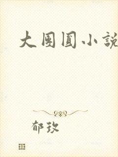 大团圆小说
