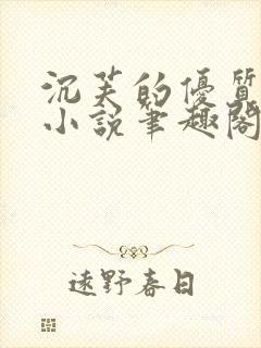 沉芙的优质攻略小说笔趣阁