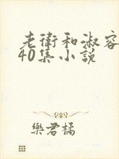 老卫和淑容1-40集小说