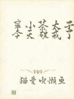 宁小茶太子殿下今天破戒了吗免费阅读