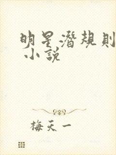 明星潜规则之皇 小说