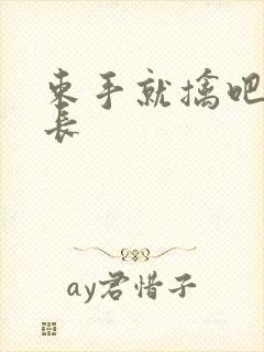 束手就擒吧韩队长