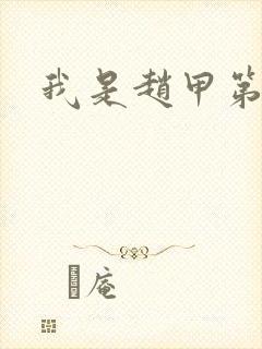 我是赵甲第小说