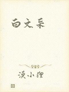 白文采