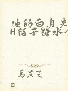 他的白月光HVH桔子糖水全文