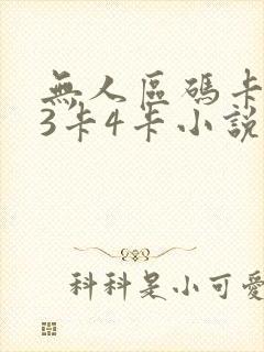 无人区码卡二卡3卡4卡小说