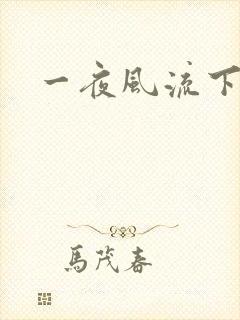 一夜风流下载