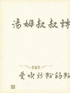 汤姆叔叔转接口