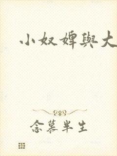 小奴婢与大少爷