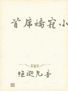 首席娇宠小情人