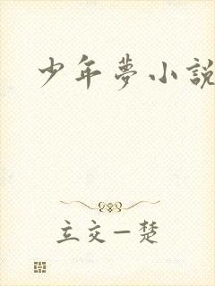 少年梦小说