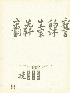 宋先生的宠妻计划轩家沐言