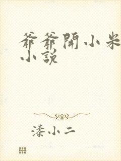 爷爷开小米的包小说