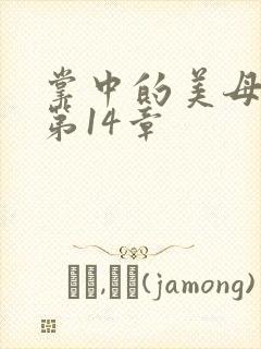 掌中的美母版主第14章