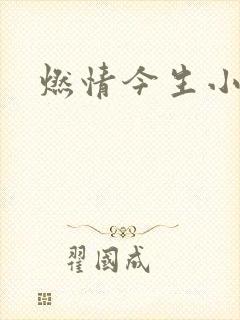 燃情今生小说