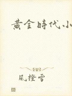 黄金时代小说