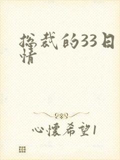 总裁的33日索情