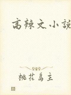 高辣文小说