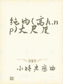 纯肉(高h.np)大尺度