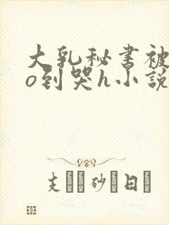 大乳秘书被cao到哭h小说