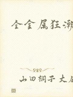 全金属狂潮小说