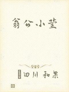 翁公小莹