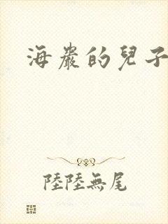 海岩的儿子