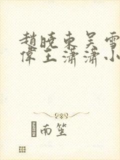 赵晓东吴雪晴郑伟王潇潇小说