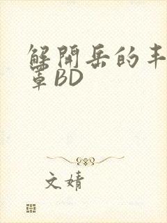 解开岳的丰满奶罩BD