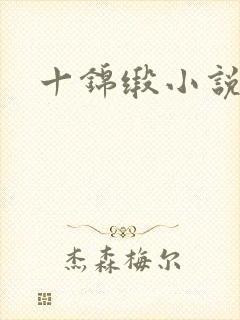 十锦缎小说
