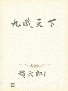九藏天下