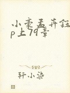 小豪孟卉钰慧三p上79章