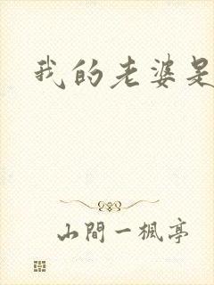 我的老婆是军阀