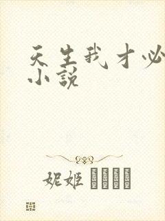 天生我才必有用小说
