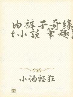 内裤子奇缘txt小说 笔趣阁