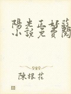 阳光正好苏玥玥小说免费阅读无弹窗