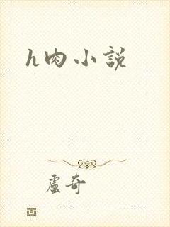 h肉小说
