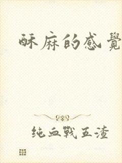 酥麻的感觉小说