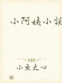 小阿姨小说