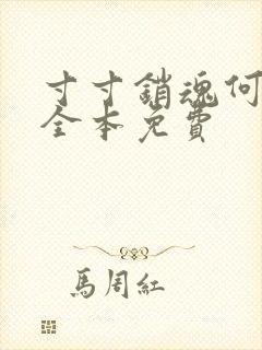 寸寸销魂何生祥全本免费